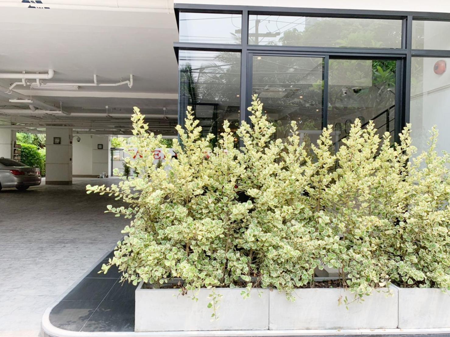 Pacific Residence 39 방콕 외부 사진